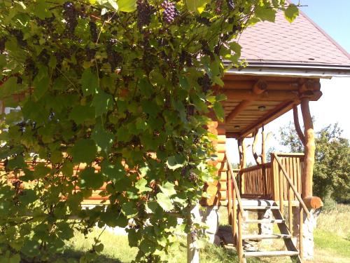 a wooden gazebo with a staircase in a tree at Likimo ratas in Paliepis