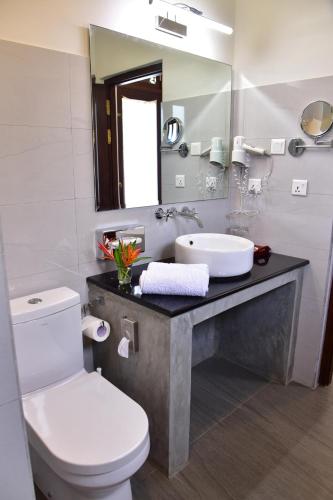 a bathroom with a white toilet and a sink at Boutique Villa Shanthi in Hikkaduwa
