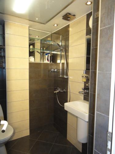 ソフィアにあるApartment SOFIA LUX TOP CENTERのシャワー、洗面台、トイレ付きのバスルーム