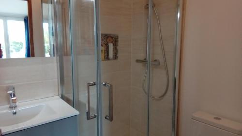 a bathroom with a shower and a sink at CHALET DU LAC PISCINE à 5 MINUTES DE DISNEY TGV RER in Montévrain