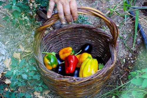 a basket full of vegetables sitting on the ground at Colle dell'Ara in Positano