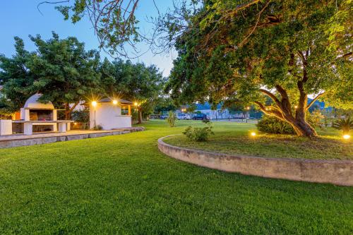 a park at night with a tree and lights at Hotel Le Mimose in San Teodoro