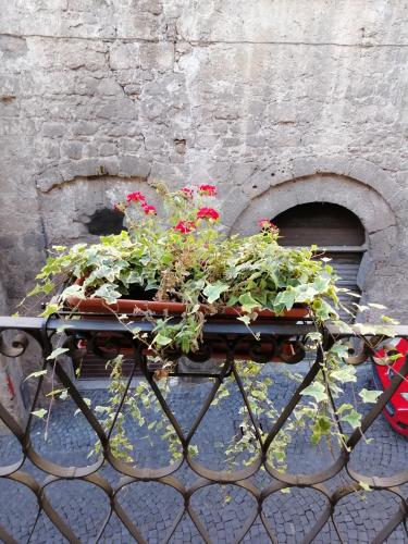 a planter filled with flowers on a iron fence at Alla cava Orvieto in Orvieto