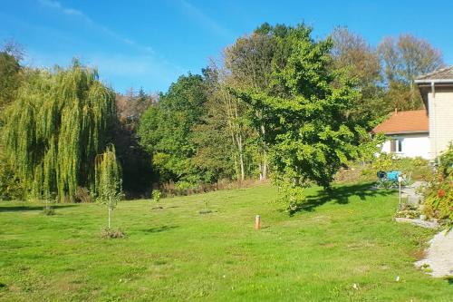 a green yard with a tree and a house at Moderne Kellerwohnung für Handwerker zwischen Braunschweig und Wolfsburg, mit Internet, Küche, Parkplatz, 24h Check-in in Schandelah