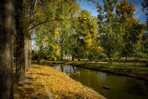 ラーツケヴェにあるAqua Land Villaparkのギャラリーの写真