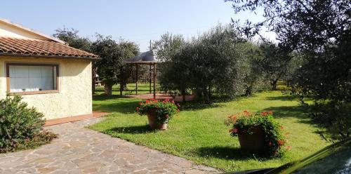 a yard with two potted plants next to a house at Villetta 3 km dal mare in Castagneto Carducci