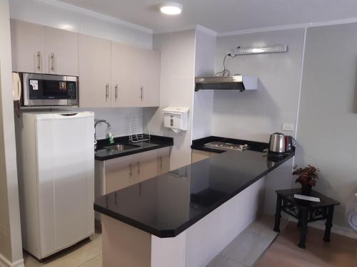 Η κουζίνα ή μικρή κουζίνα στο Isabel Suites Vitacura