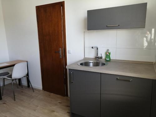 een keuken met een wastafel en een houten deur bij Apartment Central in Ratingen