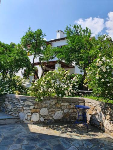 a blue chair sitting in front of a stone wall at Aeolos Hotel & Villas - Pelion in Chorefto