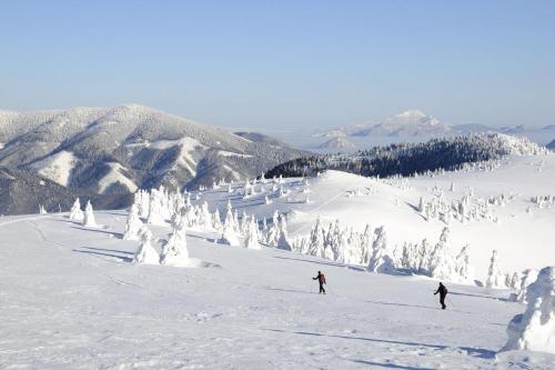 two people skiing down a snow covered ski slope at AD Šafrán č. 25 in Donovaly