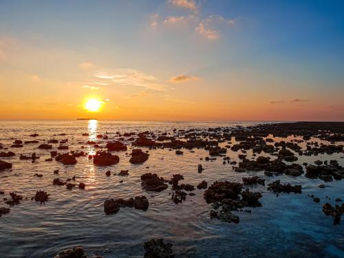 a group of people in the water at sunset at Nemo Inn in Omadhoo