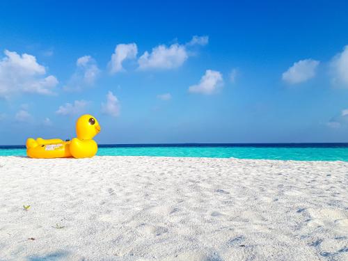 a yellow rubber duck sitting on the beach at Nemo Inn in Omadhoo