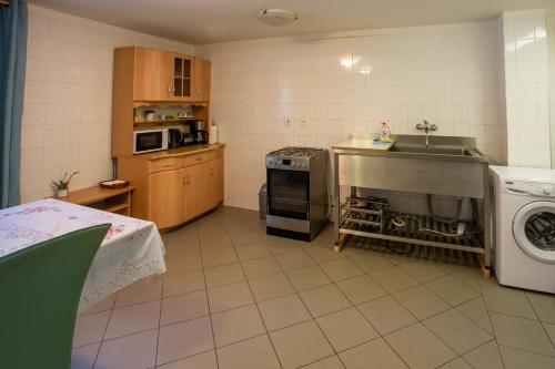 a kitchen with a sink and a washing machine at Hájovna Hněvnice in Hněvnice