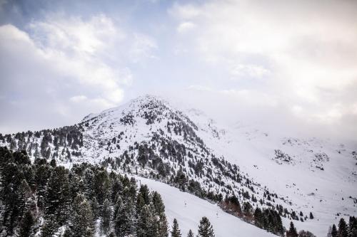 a mountain covered in snow with trees at Garni Stefani in Vent