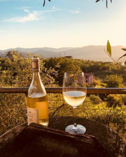 Φυσικό τοπίο κοντά σε αυτό το ξενοδοχείο