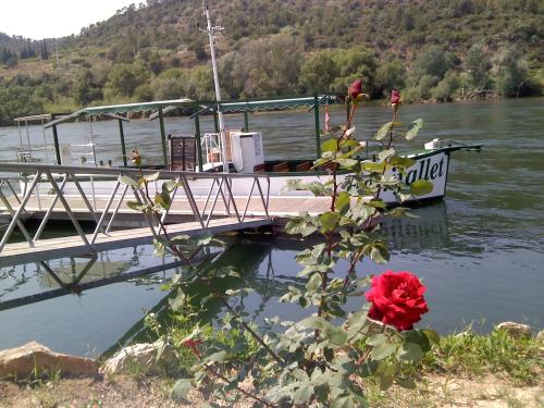 a boat is docked on the water with a red rose at CA MARTÍN 2 in Benifallet