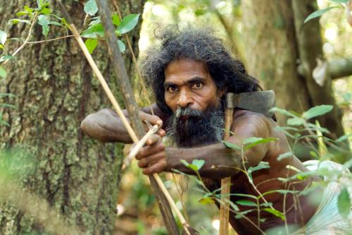 Explorer by Eco Team - Dambana – Photos 5