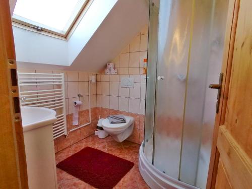 a bathroom with a toilet and a sink and a skylight at Chalupa Sluníčko in Čenkovice