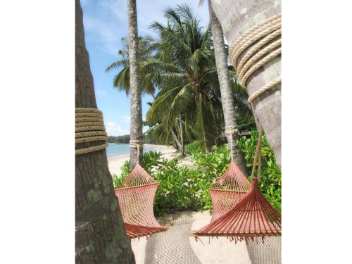 eine Hängematte am Strand mit Palmen in der Unterkunft Seavana Koh Mak Beach Resort in Ko Mak