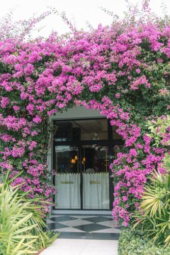 Zahrada ubytování Hemingway Suites at Palm Beach Hotel Island
