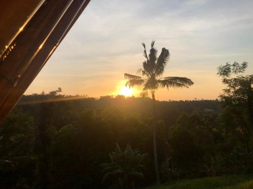 a palm tree in front of the sunset at Padi Bali Jatiluwih in Tabanan
