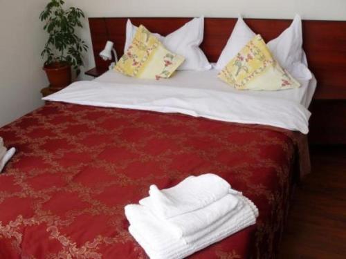 Foto sihtkohas Lugoj asuva majutusasutuse Pensiunea Dariana galeriist