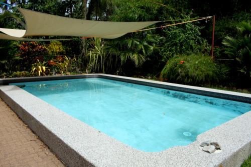 una piscina con una hamaca colgando sobre ella en Spring Homestead, en Howard Springs
