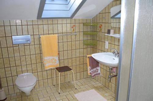 ein Badezimmer mit Toilette und Waschbecken in der Unterkunft Ferienhaus Antonia in Ehrwald