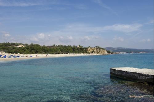 Zdjęcie z galerii obiektu Studios Chrissi w Limenárii