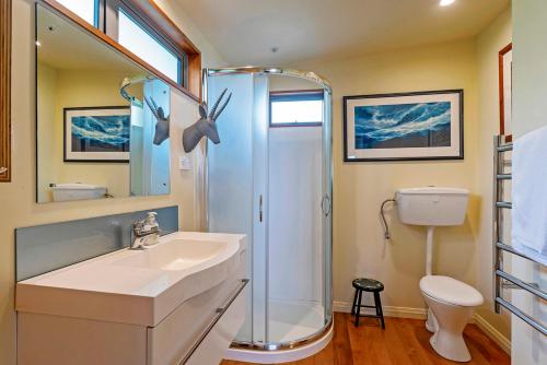 a bathroom with a shower and a sink and a toilet at The Nelson's Lookout in Nelson