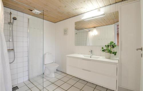y baño con aseo, lavabo y espejo. en Pet Friendly Home In Ringkbing With Wifi, en Klegod
