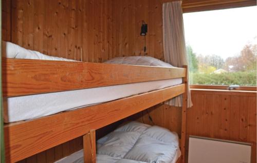 two bunk beds in a wooden room with a window at Amazing Home In Kirke Hyllinge With 3 Bedrooms in Kirke-Hyllinge
