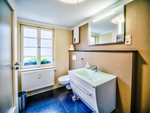 ein Badezimmer mit einem Waschbecken, einem WC und einem Spiegel in der Unterkunft Ferienwohnung To Hous in Monschau
