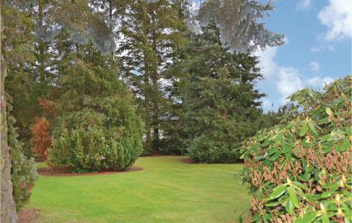 a garden with trees and a lawn with green grass at Holiday Home Harekærgårdsvej Kirke Hyllinge Denm in Kirke-Hyllinge