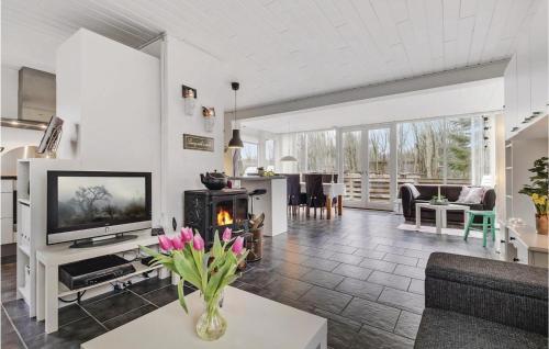 a living room with a tv and a fireplace at Two-Bedroom Holiday Home In Spottrup in Spottrup