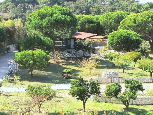 Zahrada ubytování Quinta do Meco - Beach & Nature