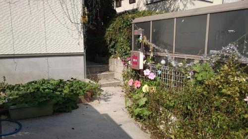 a garden of flowers on the side of a building at バイキング樫本 in Hirakata
