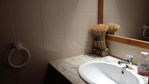 Fotografie z fotogalerie ubytování Apartamentos Tanau v destinaci Baqueira-Beret