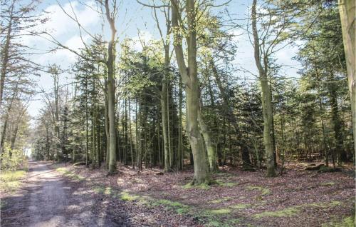 a dirt road through a wooded area with trees at Studio Apartment In Logumkloster in Løgumkloster