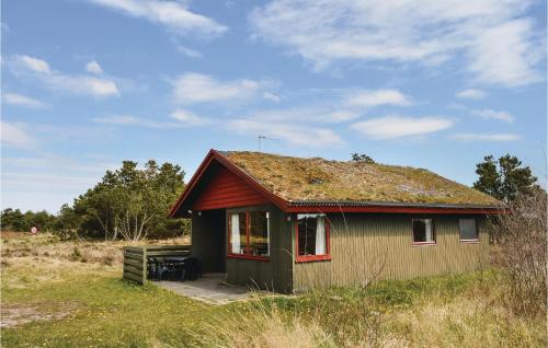 a small house with a grass roof on a field at Holiday Home Ringvejen Rømø Ix in Rømø