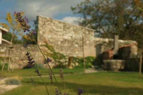 a yard with a stone house and flowers in the foreground at Casa Lenka in Málchina