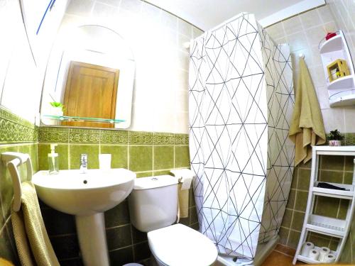 a bathroom with a sink and a toilet and a mirror at Apartamentos Ester in Santa Cruz de Tenerife