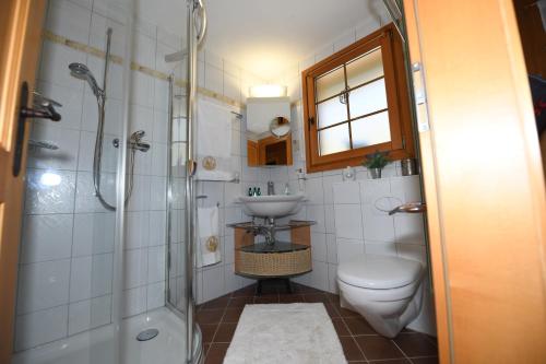 a bathroom with a toilet and a sink and a shower at Chalet Mon Rêve in Savièse