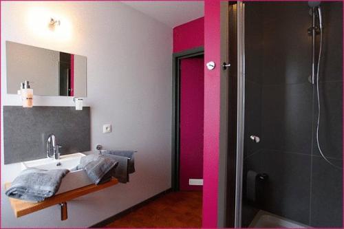 a bathroom with a sink and a mirror and a shower at Hotel O Mal Aime in Stavelot