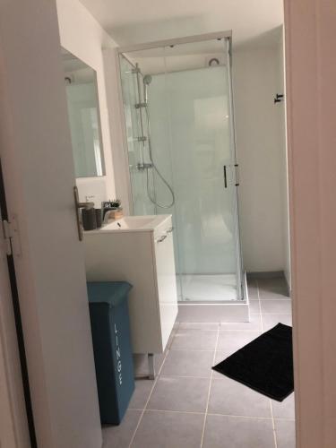 ein Bad mit einer Dusche, einem Waschbecken und einem Spiegel in der Unterkunft Joli appartement quartier historique in Moulins