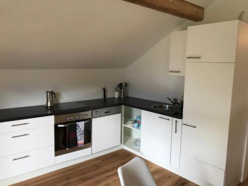 Kuchyňa alebo kuchynka v ubytovaní Villa Nussbaum