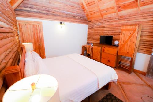 Ein Bett oder Betten in einem Zimmer der Unterkunft TREE TREK BOQUETE Adventure Park