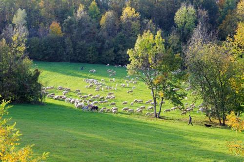 Fotografia z galérie ubytovania De Bati v destinácii Belluno