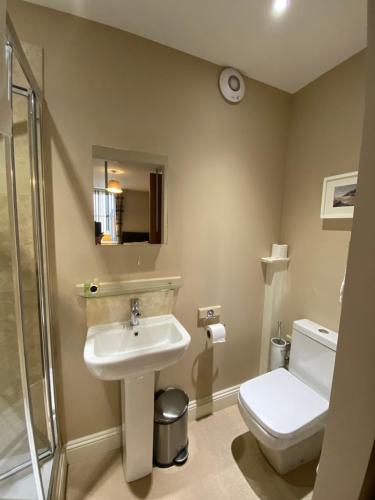 a bathroom with a sink and a toilet and a mirror at Brampton Holiday Homes - Beckside Apartment in Brampton