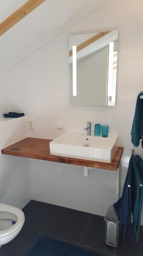 a bathroom with a sink and a mirror and a toilet at Studio de Kaap in Roden